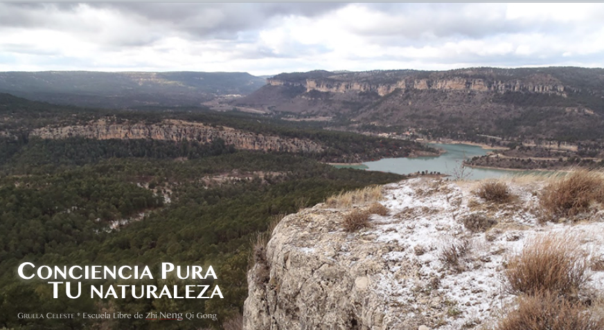 Captura de pantalla 2018-04-13 a las 10.19.05