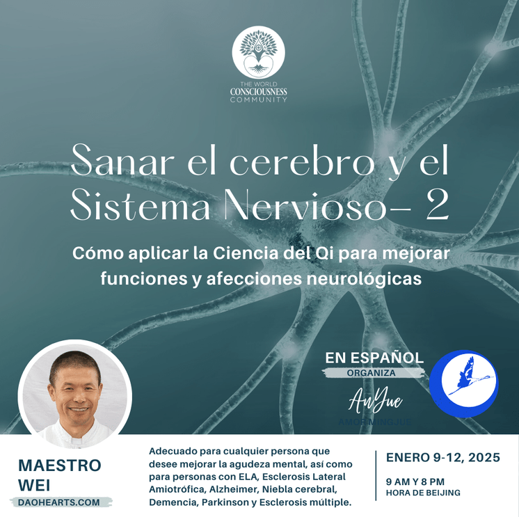 SANAR EL CEREBRO –&nbsp;2