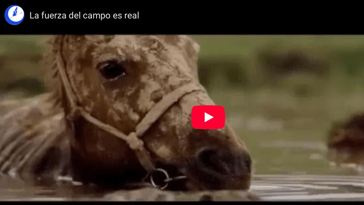 La fuerza del campo es&nbsp;real