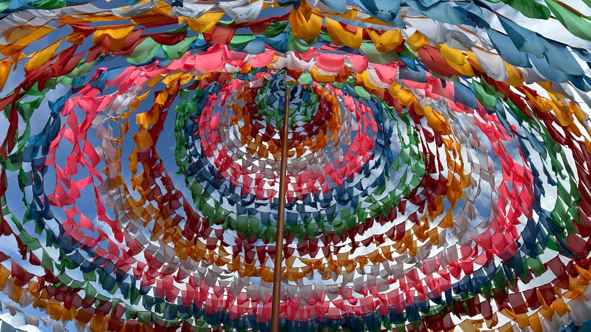 ¿Milagro o tecnología&nbsp;natural?